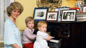 Princess diana's social work and humanitarian efforts in britain and overseas earned the respect and adoration of people all over the world. Kcwk1k2raw8nvm