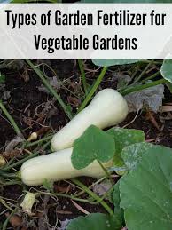 47 days select packet $4.90 100 seeds $14.02 250 seeds $29.13 1,000 seeds $106.18 5,000 seeds $478.20 25,000 seeds $2,333.00 Types Of Garden Fertilizer For Vegetable Gardens