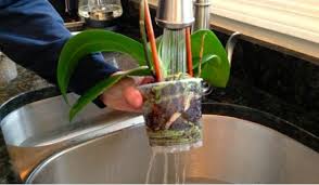 Karantina günlerinde evde bitki yetiştirmeye karar verdim ve bu konuda hiçbir tecrübem yok. Orkide Nasil Bakilir Orkide Saksisi Nasil Olmali