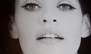 TARA DILLARD: LANDSCAPE DESIGNER