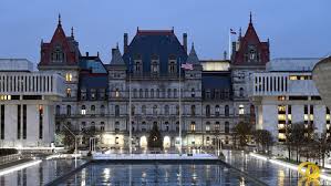 New York Assembly Candidates For 2020 Races In Monroe County