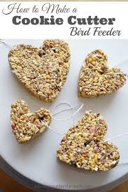 Bird Feeder Crafts For Kids How To Make A Cookie Cutter Bird Feeder A Simple Diy Garden Project Birds For Kids Bird Feeders For Kids To Make Bird Feeder Craft