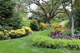 Surprise friends & family with fresh flowers from ftd®! 24 Of The Best Low Care Plants To Replace Your Too Big Lawn Pennlive Com