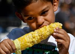 Cheap, free, deals in Denver: Discounted tickets, festivals, more in August