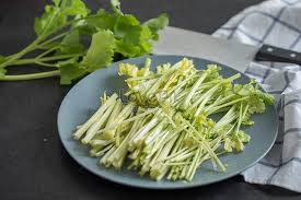 Bukan sahaja menjadikan makanan lebih enak, manfaat. Makanan Saderi Hijau Gambar Unduh Gratis Imej 500866853 Format Jpg My Lovepik Com