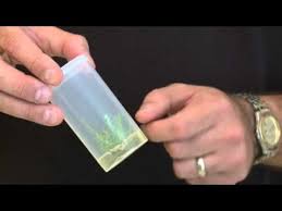 01 Microclone Tissue Culture Plant Science Propagating Plants Plant Tissue