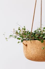 Cork Hanging Planter Jardiniere Suspendue Planter Des Fleurs Plante Verte