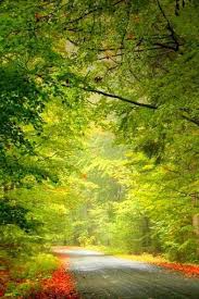 Choose from hundreds of free nature wallpapers. Hd Nature Phone Wallpapers Top Free Hd Nature Phone Backgrounds Wallpaperaccess
