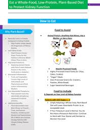 Learn more about nutrition and kidney health on our website. Whole Food Low Protein Plant Based Nutrition To Prevent Or Slow Progression Of Chronic Kidney Disease Journal Of Renal Nutrition