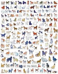 Every Akc Dog Breed Poster By Izzycreates In 2021 Akc Dog Breeds Dog Breed Poster Dog Breed Art