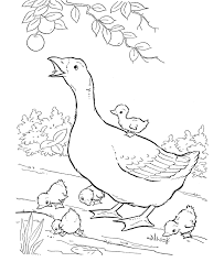 Pin By Jodi On Farm Farm Animal Coloring Pages Animal Coloring Pages Bird Coloring Pages
