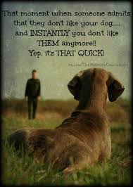 Well They Re My Best Friend I Kinda Have To Like Them Dog Quotes Dogs Dog Love
