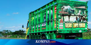 Cukup unik memang melihat variasi truk canter terbaru dengan model yang keren dari sisi modif bemper dan bak seperti modifikasi truck canter sakera satu ini bisa kalian lihat disini gambar dan fotonya lengkap. Melihat Tulisan Tulisan Menggelitik Di Bak Truk Dari Kacamata Budaya Halaman All Kompas Com