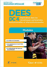 Amazon Fr Diplome D Etat D Educateur Specialise Dees Modules Dc 4 Implication Dans Les Dynamiques Partenariales Institutionnelles Et Interinstitutionnelles Dubechot Patrick Rolland Marie Rullac Stephane Livres