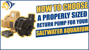 How To Choose A Properly Sized Return Pump For Your