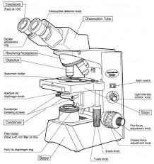 Parts Of A Microscope Back To Microscopy Microscopic Biology Notes Nursing Notes