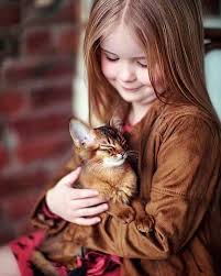 What Is Love Love Truelove Girl Cat Cats Kitten Kittens Animals Kid Kids Relationship Cats Cute Animals Animals