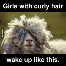 Ahahaha Veooz Curly Girl Hairstyles Curly Hair Styles Curly Hair Problems