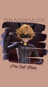 Cat Noir Wallpaper Discover More Android Anime Background Cute Desktop Wallpaper Https In 2021 Cat Noir Wallpaper Miraculous Wallpaper Miraculous Ladybug Anime