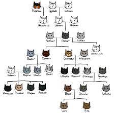 Pin By Paperjam On Warrior Cats Warrior Cat Drawings Warrior Cats Fan Art Warrior Cats