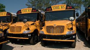 Image result for Tree Green 2018 Fleet