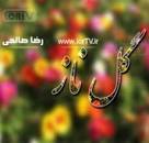 نتیجه تصویری برای دانلود نوحه براره شیر زردم درمونه هرچی دردم دور گلم بگردم