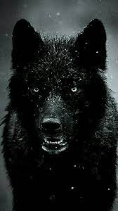 Black Wolf Wallpaper Hd For Mobile 2560x1440 black wolf art hd wallpaper ihd wallpapers. black wolf wallpaper hd for mobile