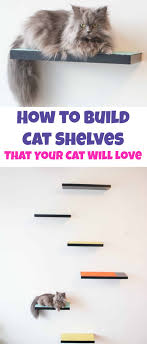 Those shelves are definitely not going anywhere. How To Build Cat Shelves That Your Cat Will Love Brooklyn Farm Girl
