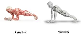 Gymnastics strength training provides countless benefits to those willing to commit to the process. How To Do A Handstand The Best Drills Exercises To Help You Learn