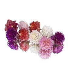 Dried edible flowers for cakes. Dried Amaranth Pom Pom Mix Edible Dried Flowers Cake Decorating