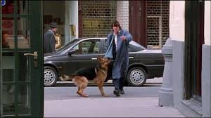 Sur cette page, vous avez la possibilité de voir les 100 saison 7 épisode 1 en streaming gratuit français. Rex Chien Flic Saison 1 Episode 12 En Streaming France Tv