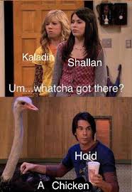 We are working to solve this issue. Look At All Of Those Chickens Cremposting