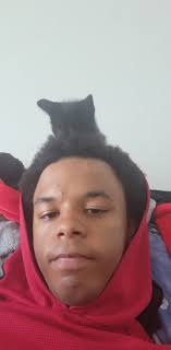 Can someone help with interactive logo games?