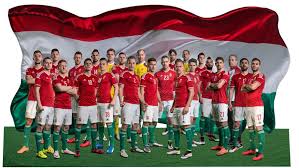 Seconda maglia nuove del brasile 2020 2021. Le Maglie Dell Ungheria 2016 2017 Adidas Euro France