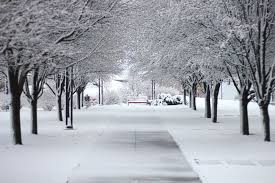 Springfield Missouri Travel Tourism Ozarks Midwest Vacations Midwest Vacations Valley Park Travel And Tourism