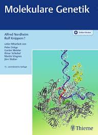In this video collaboration from khan academy and 23andme, you'll learn about the variations in human dna called snps, and how they can be used to. Ebook Molekulare Genetik Von Alfred Nordheim Isbn 978 3 13 242638 2 Sofort Download Kaufen Lehmanns De