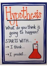 scientific method anchor charts