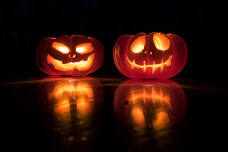 Spooky Skele-bration: Lazy Halloween — The Lazy H