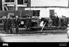 Image result for White 1981 Fleet