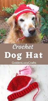 Ladies summer bucket hat crochet pattern. Crochet Dog Hat Free Crochet Pattern Goldenlucycrafts