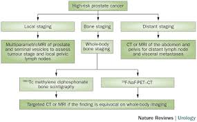 Image result for Prostate Cancer Staging
