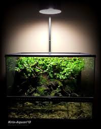 Paludarium Exo Terra Https Www Facebook Com Krisaquario Reptile Tank Fish Tank Aquarium