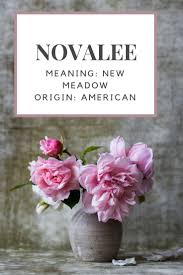 Baby Girl Name Novalee Meaning New Meadow Origin American Girl Names Baby Girl Names Names With Meaning