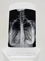 Icon and activist @miakhalifa reinterprets the power of the body with her  SHOWstudio Boxset contribution. 'Never-before-seen' nudes, offer a witty  and personal take on the concept of nudity, reclaiming her own image