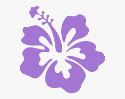 Schöne pflanzen von ihrem pflanzenversteher! Hibiscus Clipart Real Purple Hibiscus Flower Clipart Hd Png Download Transparent Png Image Pngitem