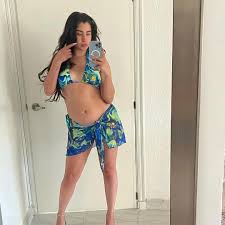 Lauren Jauregui : rCelebrityBelly