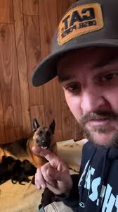 Adorable Puppies: Mastiffs, Cane Corso, and German Shepherds