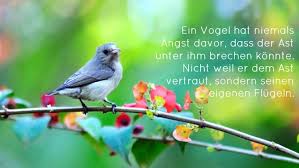 30 Mut Mach Sprüche Und Zitate Die Kraft Und Hoffnung Geben