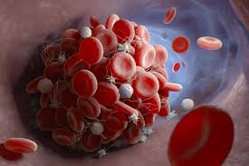 Image result for Monocyte Count
