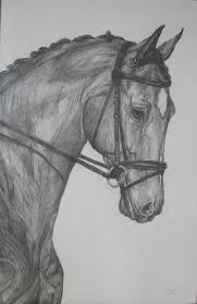 Pencil Drawing Learn Drawing Horses Horse Drawings Animal Drawings Pencil Art Drawings